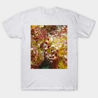 Banded Coral Shrimp T-Shirt